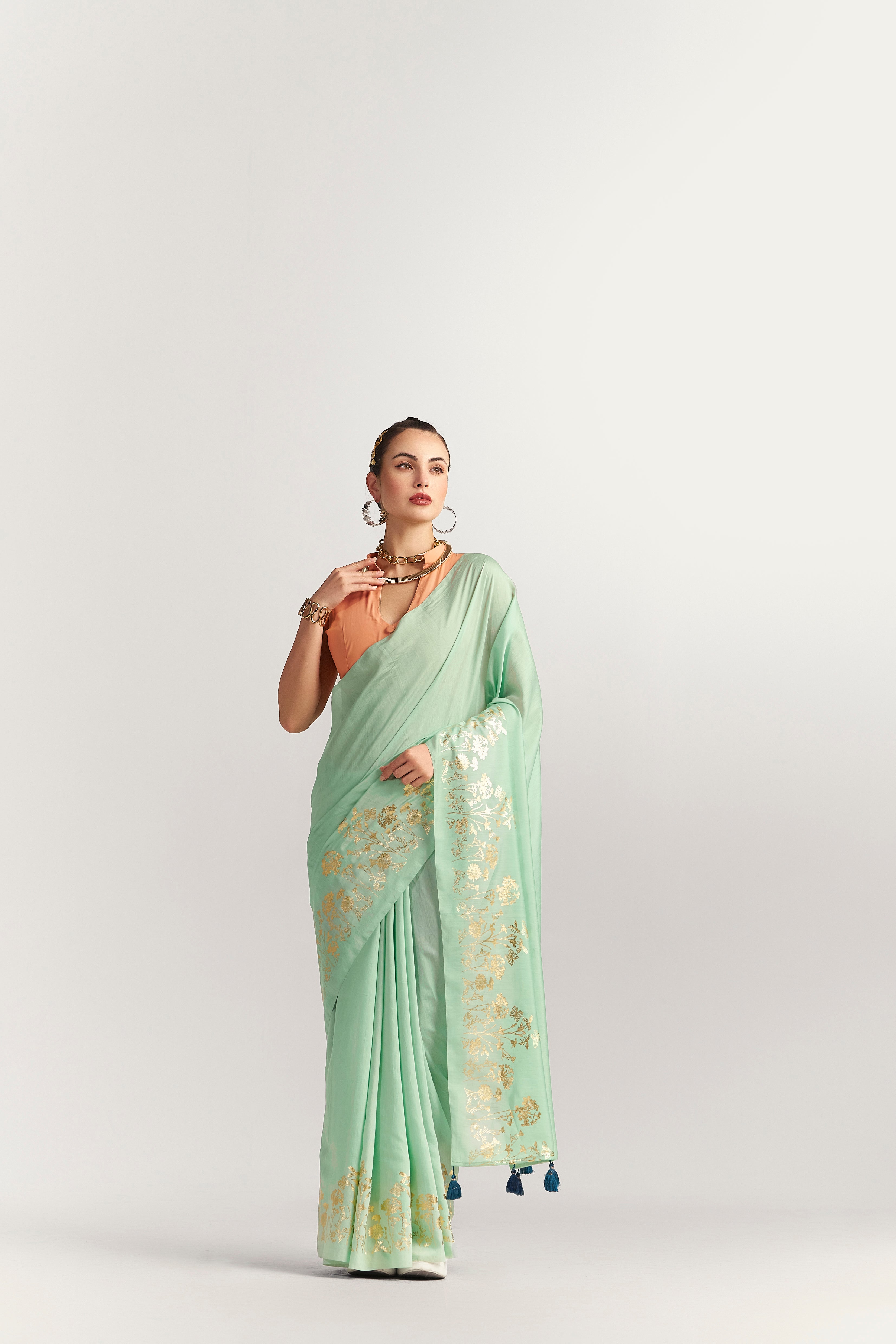 PERI PERI BUTTERFLY FOIL SAREE