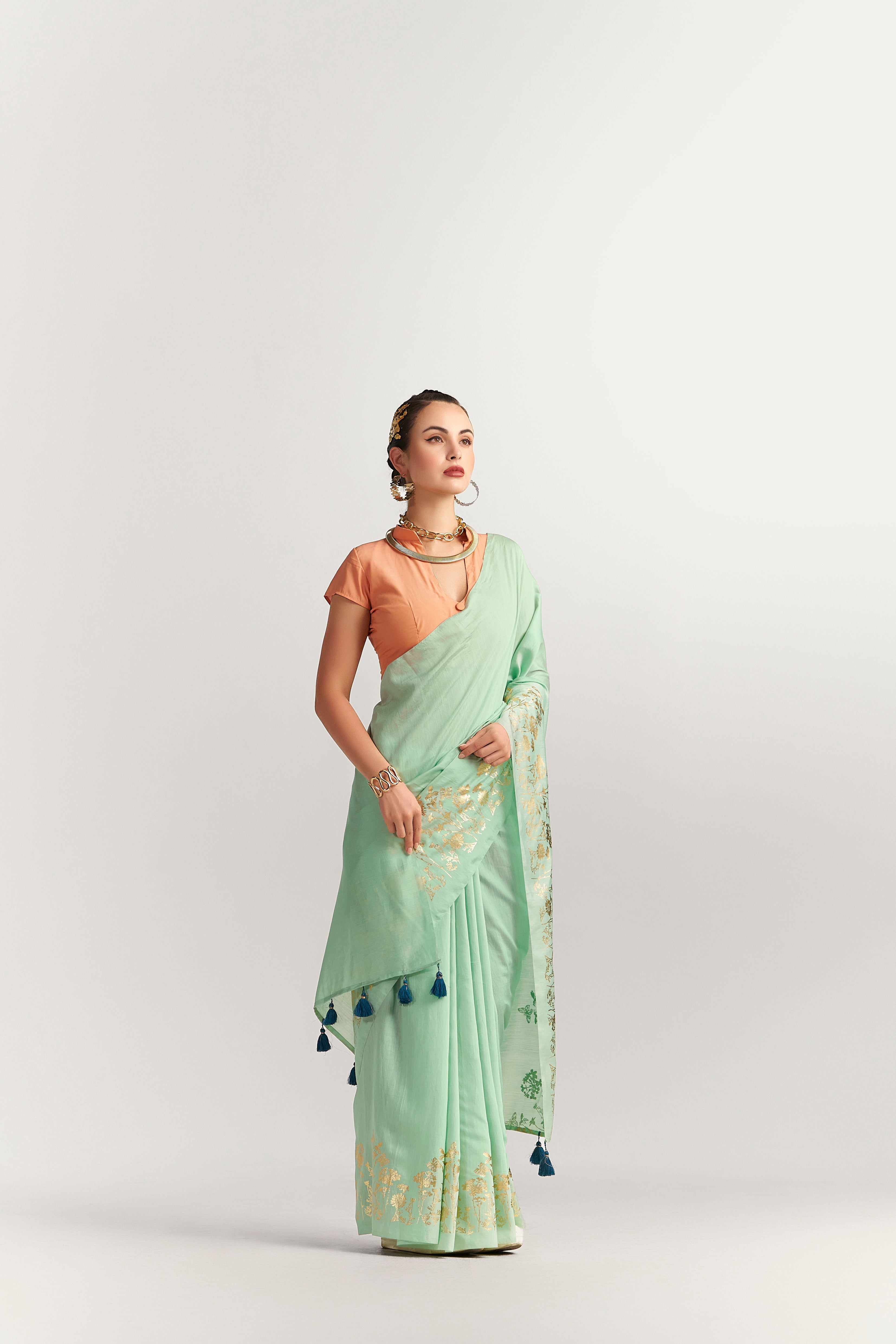 PERI PERI BUTTERFLY FOIL SAREE